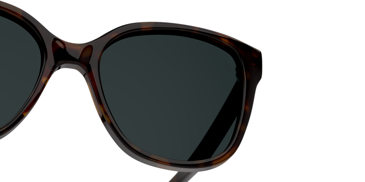 ANTEOJOS DE SOL DBYD DBSF5000 0DB4006 HAVANA UNISEX - 7