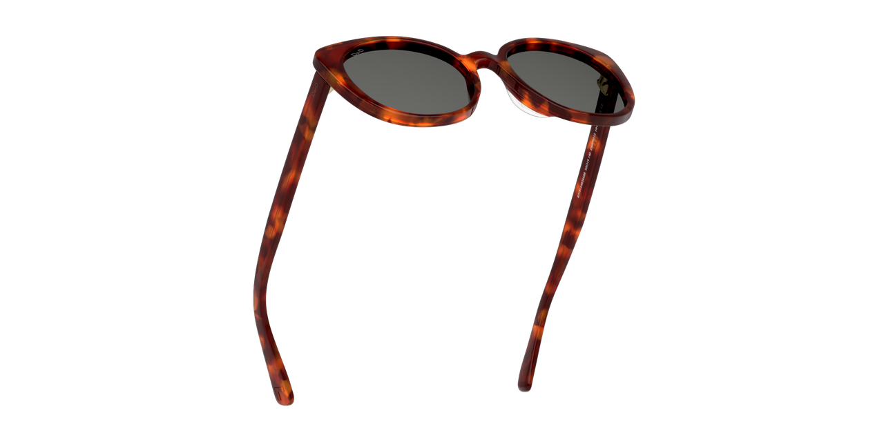 ANTEOJOS DE SOL DBYD DBSF5010 HAVANA RED GREEN 0DB4017 HAVANA UNISEX - 5