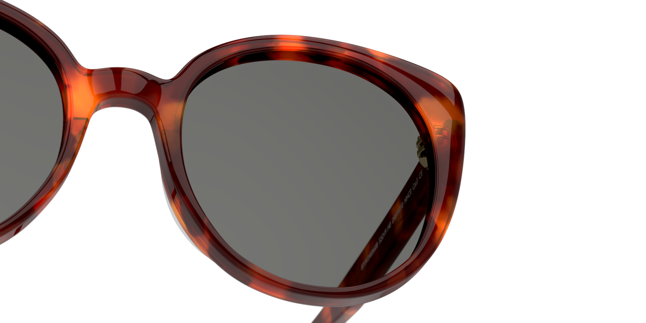 ANTEOJOS DE SOL DBYD DBSF5010 HAVANA RED GREEN 0DB4017 HAVANA UNISEX - 6