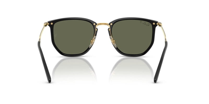 ANTEOJOS DE SOL RAY-BAN RB4451 BLACK POLAR GREEN NEGRO UNISEX - 4