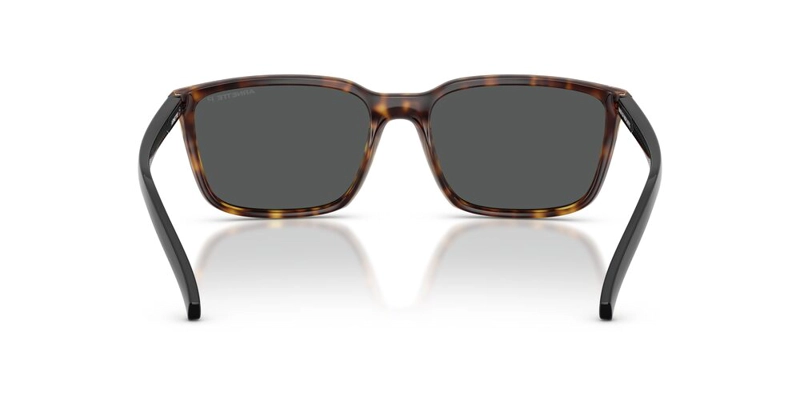 ANTEOJOS DE SOL ARNETTE AN4311 HAVANA DARK GREY POLAR HAVANA HOMBRE - 4