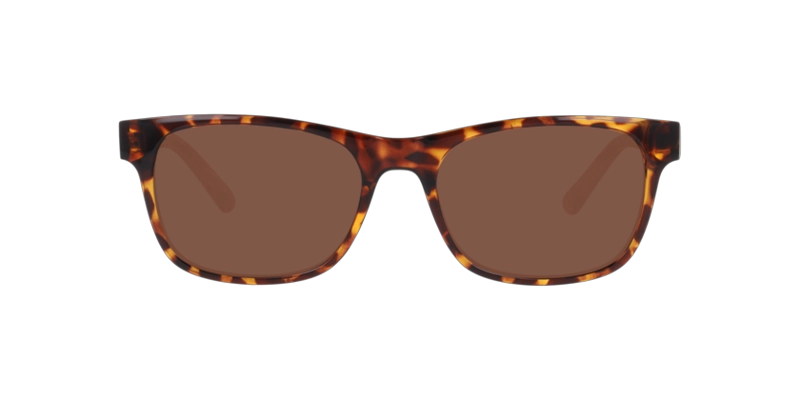 ANTEOJOS DE SOL SEEN NE6078  HAVANA UNISEX - 1