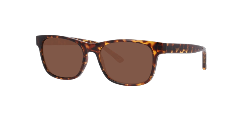 ANTEOJOS DE SOL SEEN NE6078  HAVANA UNISEX - 2