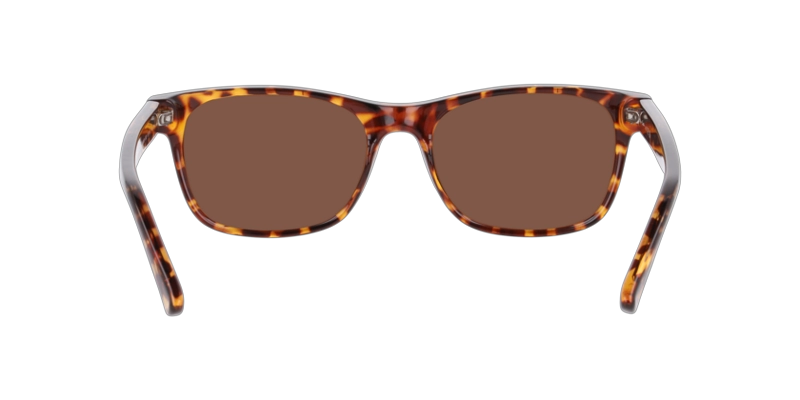 ANTEOJOS DE SOL SEEN NE6078  HAVANA UNISEX - 4