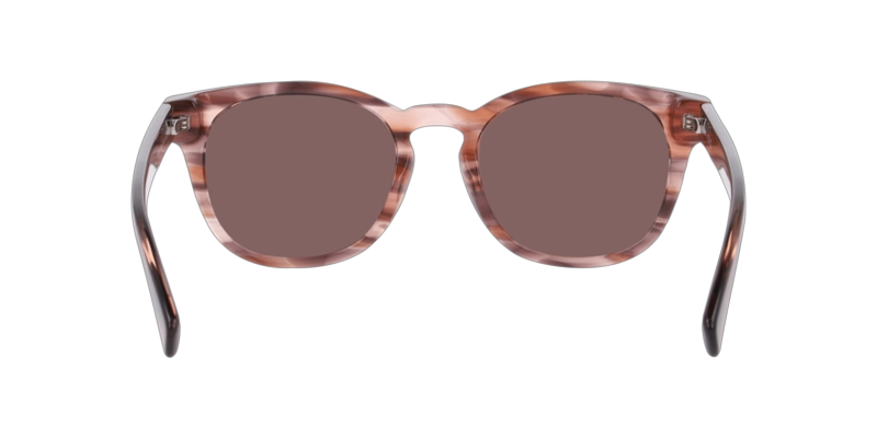 ANTEOJOS DE SOL DBYD 0DB4052 PINK STRIPES BROWN UNISEX - 4