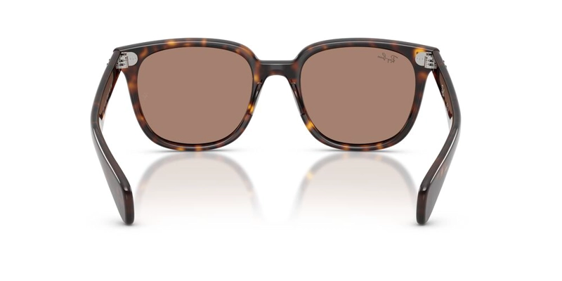 ANTEOJOS DE SOL UNISEX RAY-BAN BRUNEL II HAVANA LIGHT VIOLET CAFE - 4