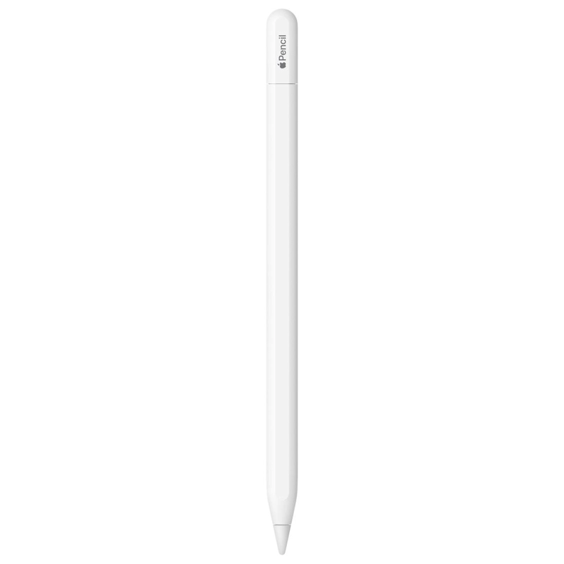 APPLE PENCIL USB-C PARA IPAD MUWA3AM/A - 3