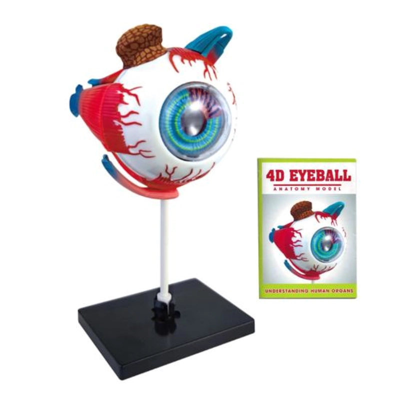 OJO 4D ROMPECABEZA PUZZLE ARMAR DIDACTICO EDUCATIVO 55514 - 1