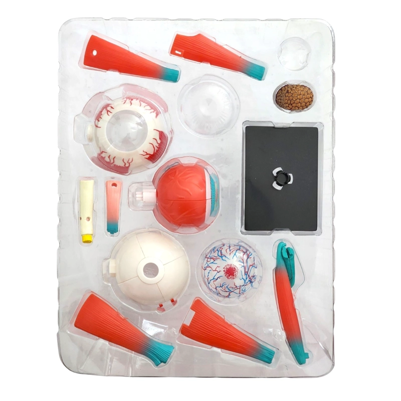 OJO 4D ROMPECABEZA PUZZLE ARMAR DIDACTICO EDUCATIVO 55514 - 5
