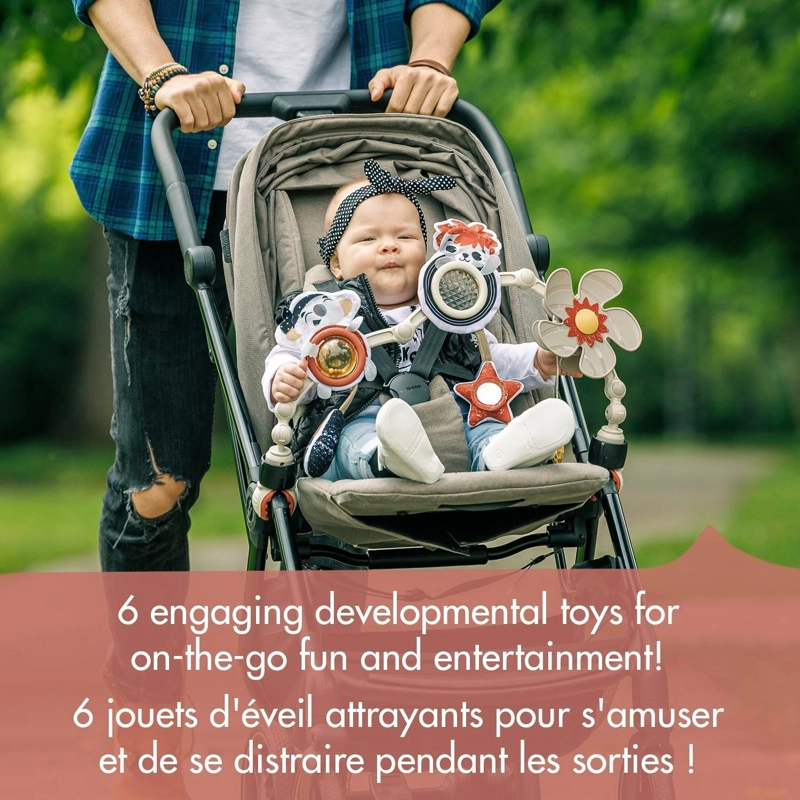 ARCO PARA COCHE TINY ROCKERS TINY LOVE - 2