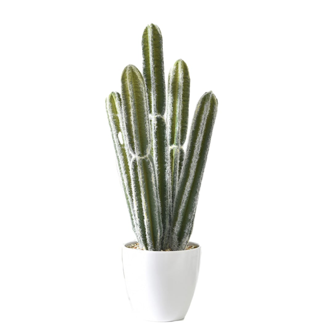 CACTUS ARTIFICIAL 52CM HOME GARDEN CHILE - 1