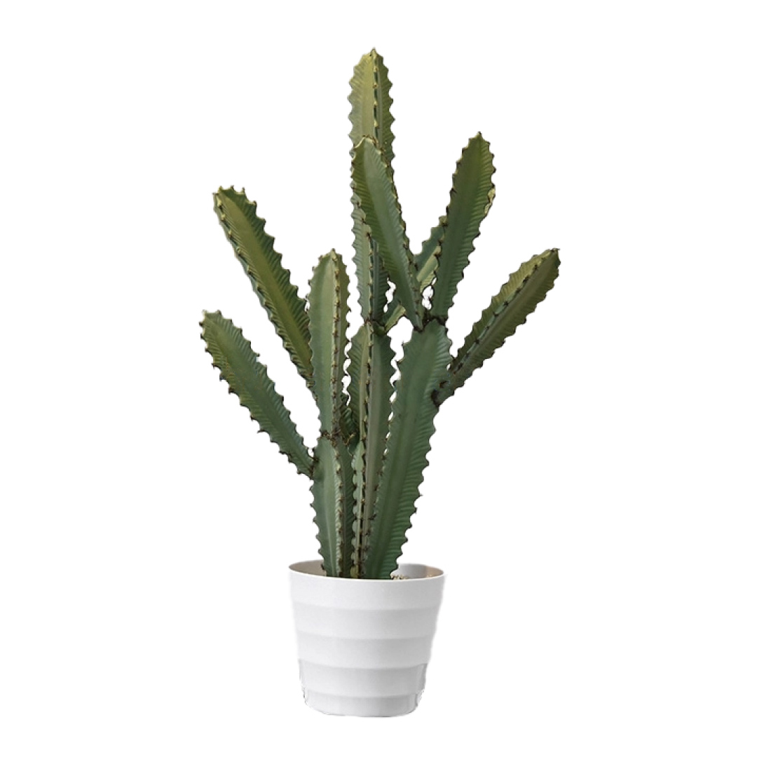 CACTUS ARTIFICIAL 66CM HOME GARDEN CHILE - 1