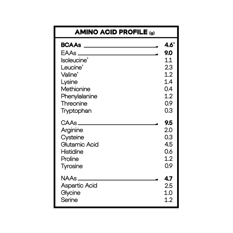 RHINO VEGAN PROTEIN ISOLATE 5LBS CHOCOLATE - NAOS KINGDOM - 3