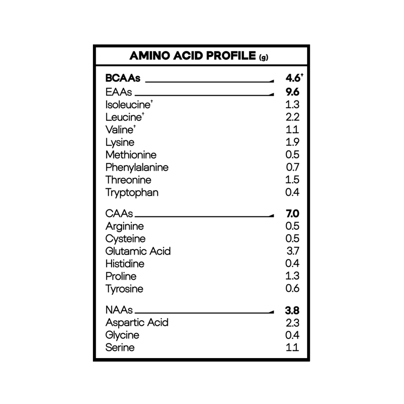 LIONESS DIET WHEY PROTEIN 5LBS VANILLA - NAOS KINGDOM - 3