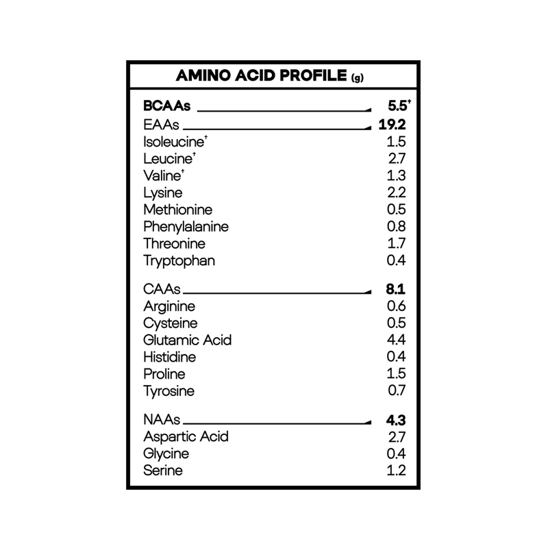 LION WHEY PROTEIN 5LBS CHOCOLATE - NAOS KINGDOM - 3