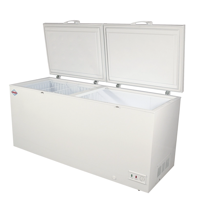 CONGELADOR DUAL TAPA DURA 612 LT BD612 - 2