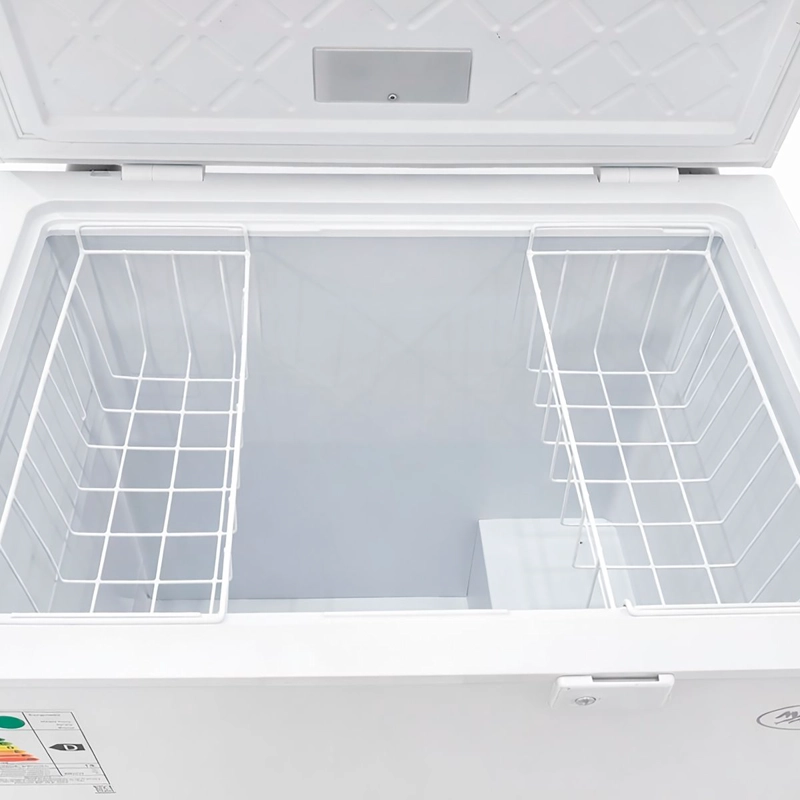 CONGELADOR FREEZER DUAL HORIZONTAL 198 LITROS MAIGAS BD202 - 6