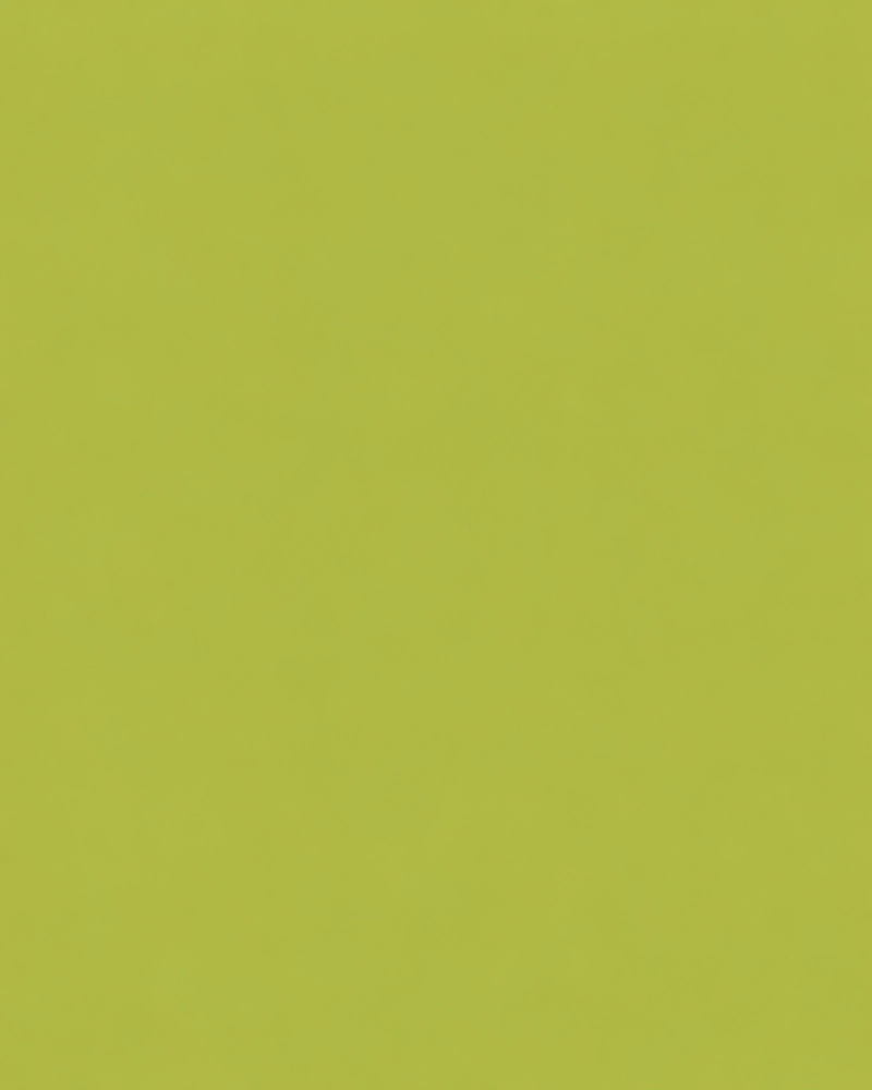 CARDSTOCK - CARTULINA AUTOADHESIVA VERDE CLARO SILHOUETTE - 1