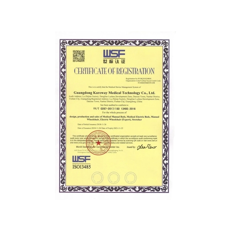 CATRE CLINICO MANUAL 2 POSICIONES KAREWAY CERTIFICADO - 7