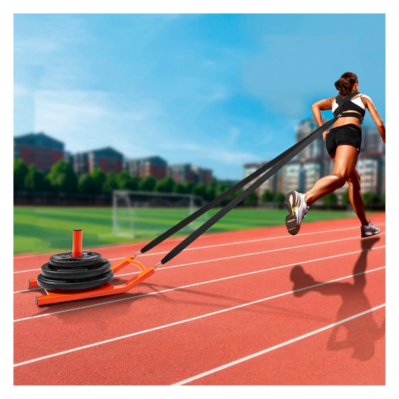 TRINEO DE PESO ENTRENAMIENTO BACKFINDX ARNE S TS-00TB - 7