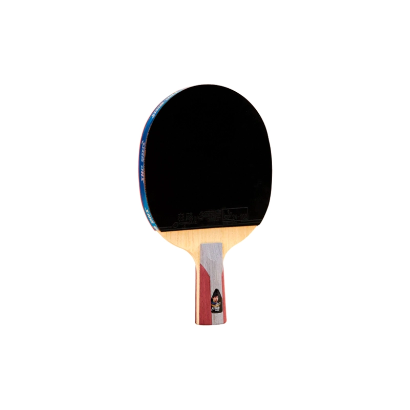 PALETA DE TENIS PROFESIONAL DHS 5 ESTRELLAS SHORT HANDLE LOOP ATAQUE RAPIDO – 5006 - 4