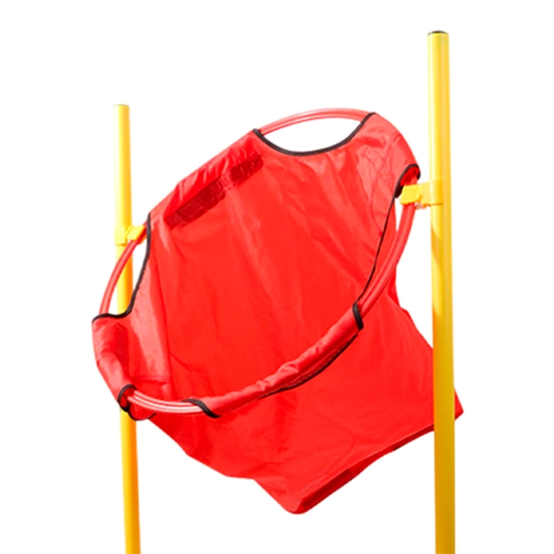 JUEGO LANZAMIENTO VALLAS CON BASES + CANASTA CON PELOTAS - 5