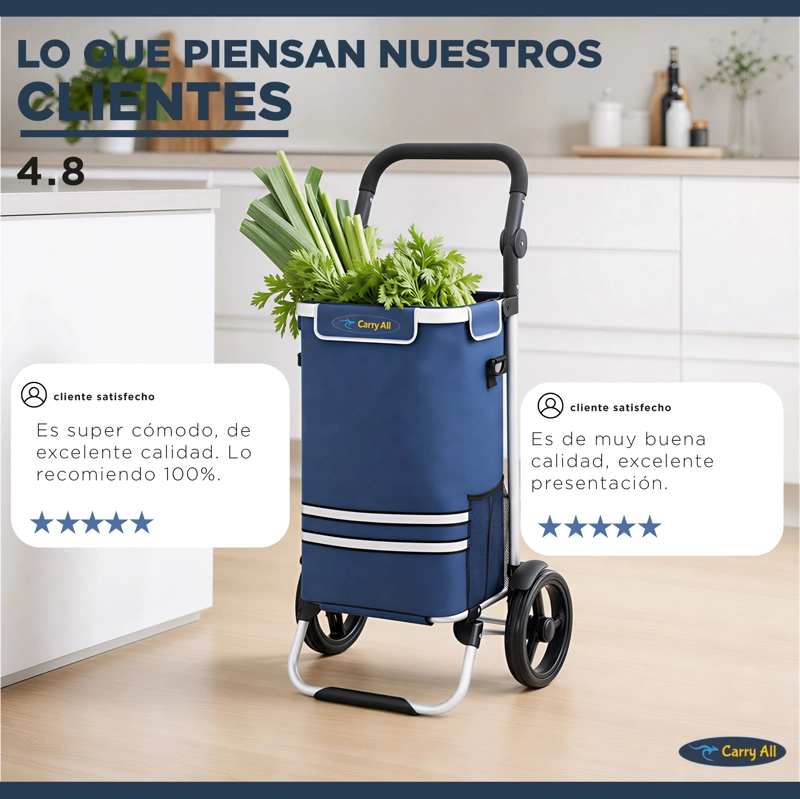CARRITO COMPRAS PLEGABLE CARRY ALL PERTH AZUL + BOLSO COOLER - 8