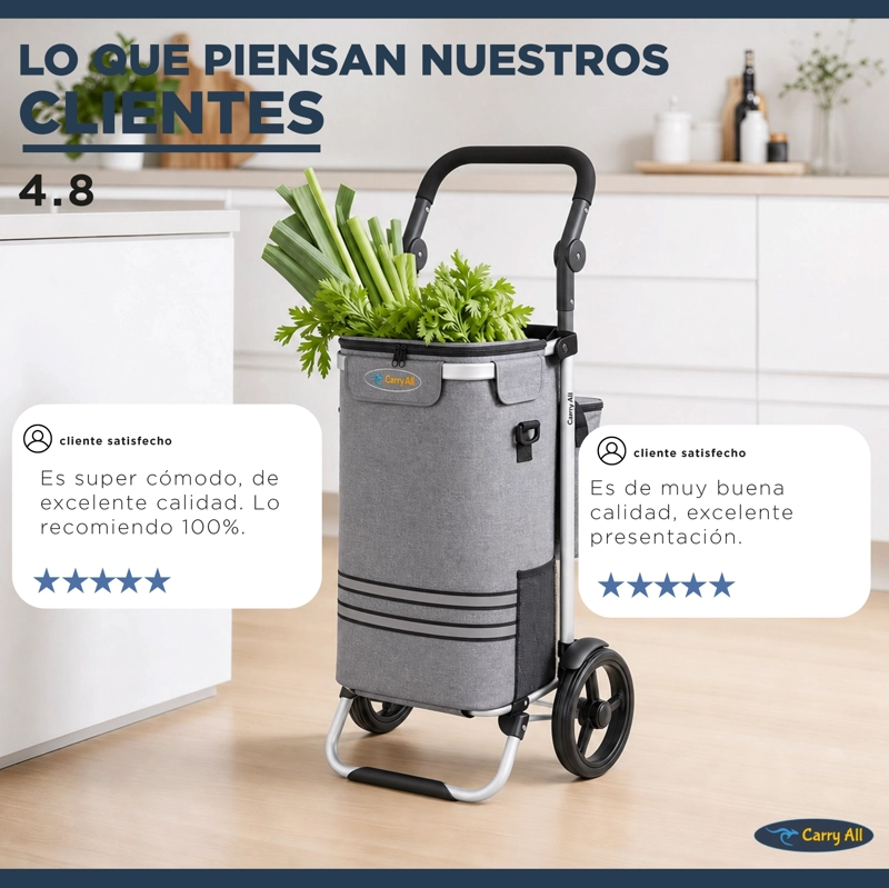 CARRITO COMPRAS PLEGABLE CARRY ALL PERTH GRIS  + BOLSO COOLER - 8