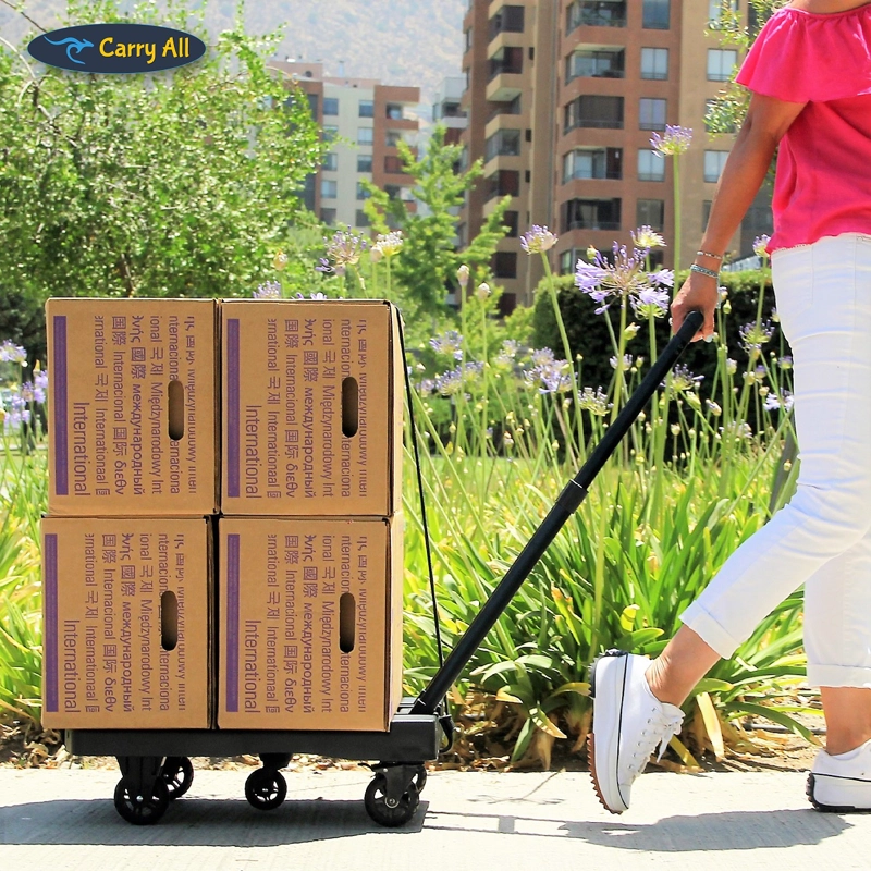CARRO DE CARGA PLEGABLE TIPO PLATAFORMA 200 KILOS - 2