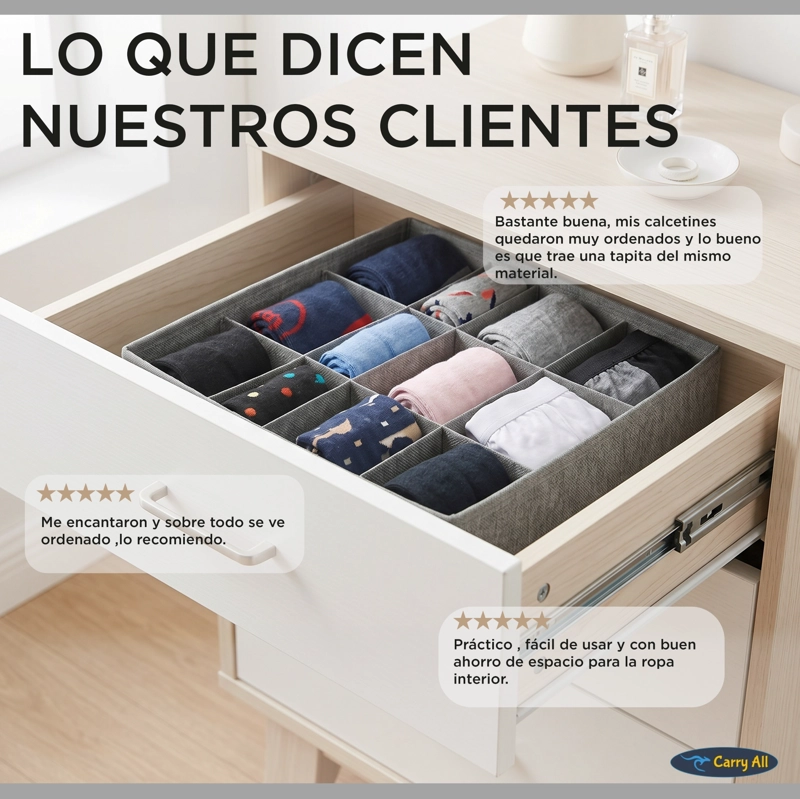 ORGANIZADOR 16 DIVISIONES  ROPA INTERIOR  ACCESORIOS ORGANIZACIÓN CLOSET - 10