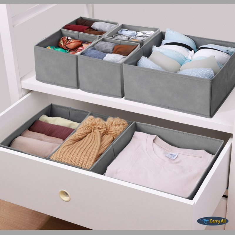 ORGANIZADOR 8 DIVISIONES CAJAS ROPA INTERIOR ACCESORIOS - 9