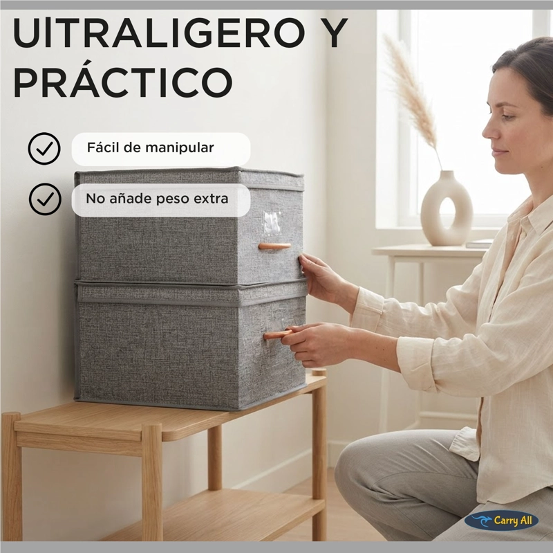 PACK 2 CAJAS ORGANIZADORAS PLEGABLES  CON TAPA - 5