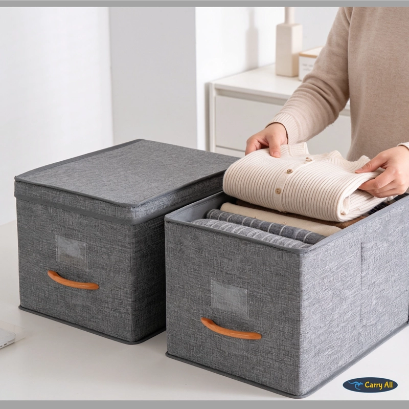 PACK 2 CAJAS ORGANIZADORAS PLEGABLES  CON TAPA - 8
