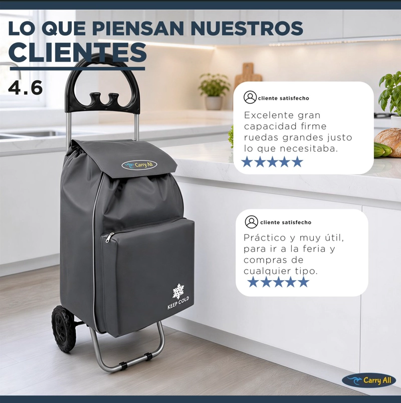 CARRITO DE COMPRAS PLEGABLE GLASGOW 47 LITROS GRIS - 9
