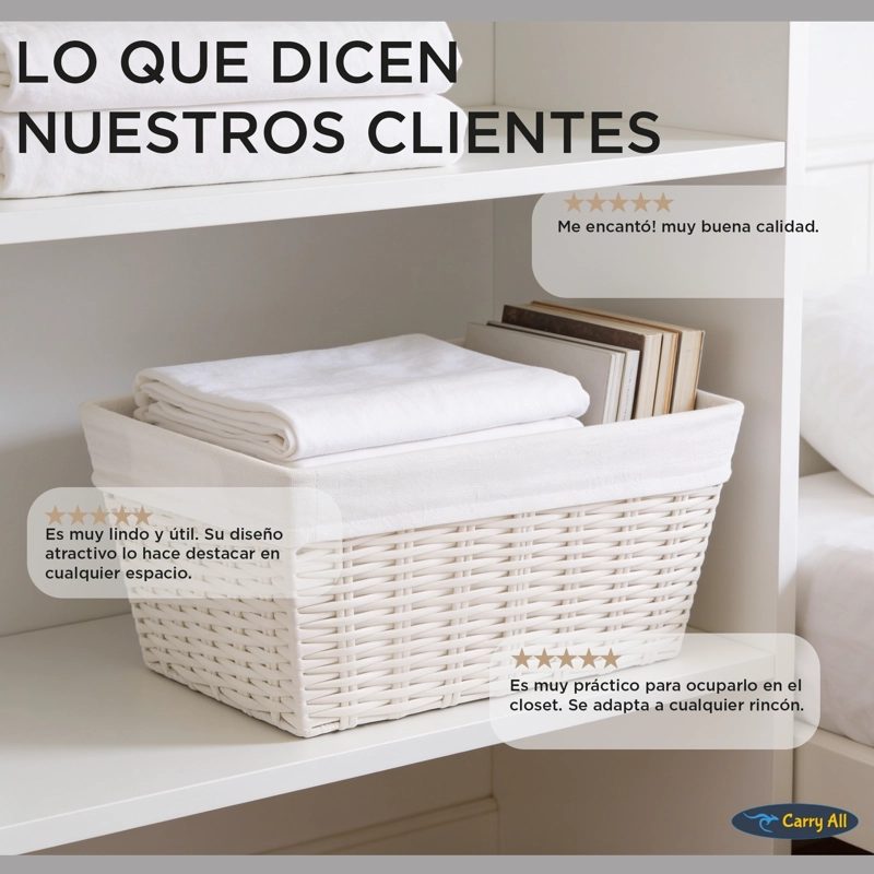 PACK 3 CANASTOS CESTAS ORGANIZADORAS CARRY ALL  ESTILO RATAN CREMA S - 9