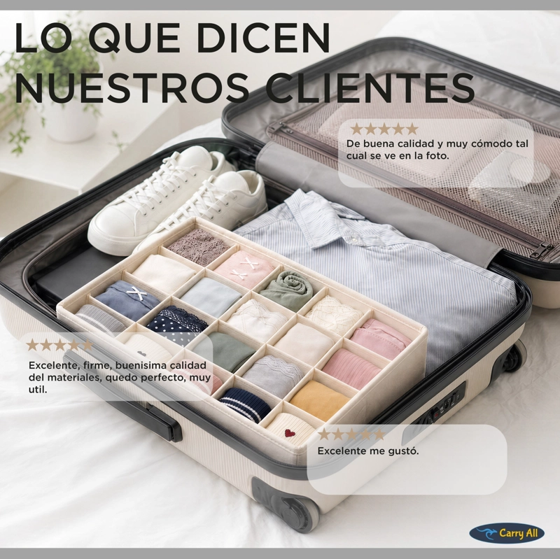 Organizadores De Cajón Closet Carry All 16 Divisiones Ropa Interior Calcetines - 9