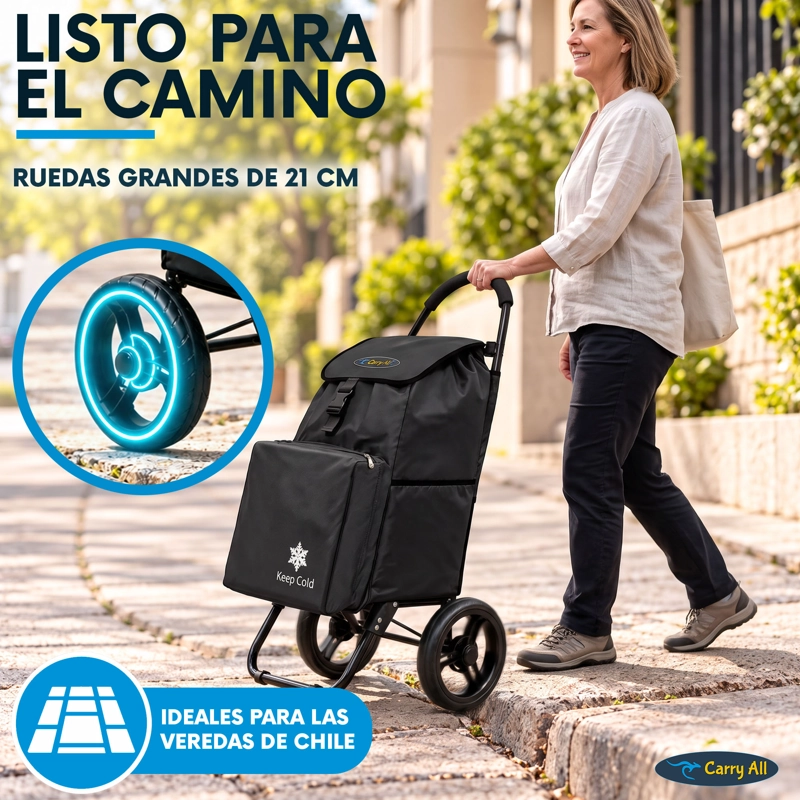 Carrito De Compras Plegable Carry All Sidney 55 Litros Bolsillo Cooler Carro Feria Negro - 7