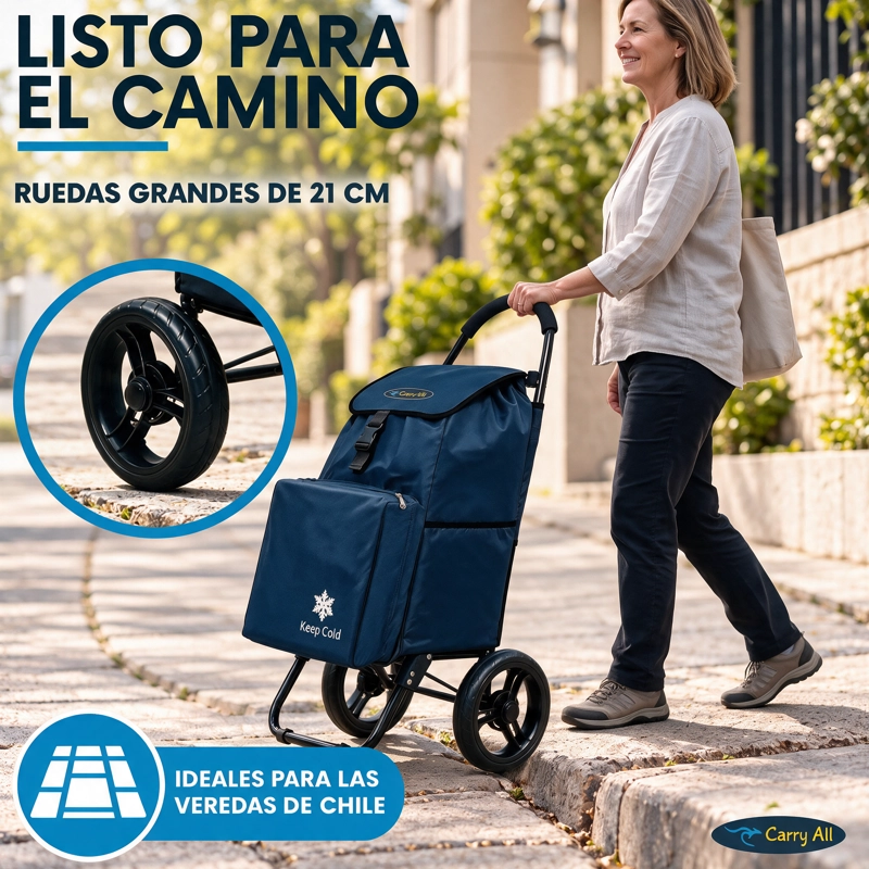 Carrito De Compras Plegable Carry All Sidney 55 Litros Bolsillo Cooler Carro Feria Azul - 7