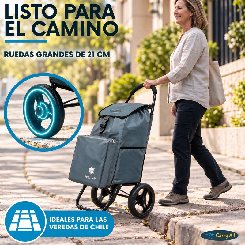 Carrito De Compras Plegable Carry All Sidney 55 Litros Bolsillo Cooler Carro Feria Gris - 7