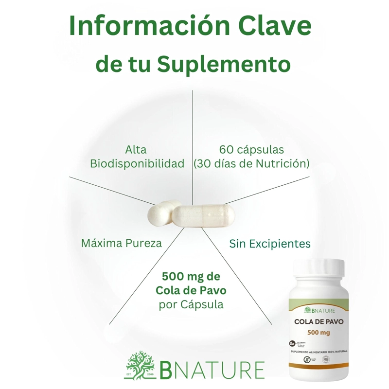 COLA DE PAVO 500MG | 60 CAPSULAS – HONGO CORIOLUS B NATURE - 2