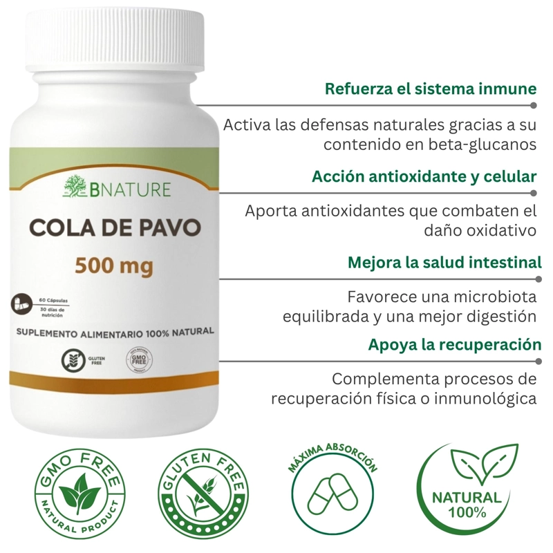 COLA DE PAVO 500MG | 60 CAPSULAS – HONGO CORIOLUS B NATURE - 3