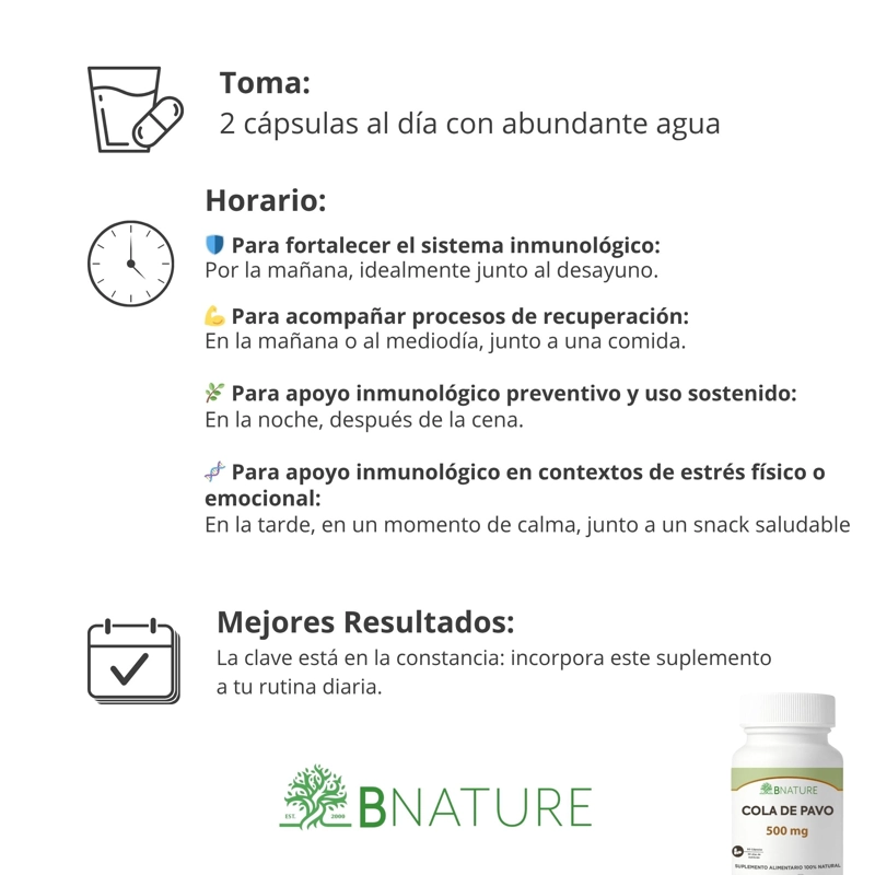 COLA DE PAVO 500MG | 60 CAPSULAS – HONGO CORIOLUS B NATURE - 4