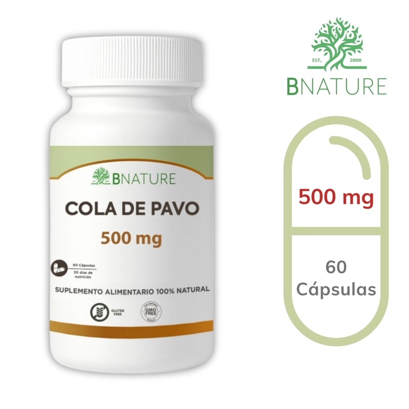 COLA DE PAVO 500MG | 60 CAPSULAS – HONGO CORIOLUS B NATURE - 7