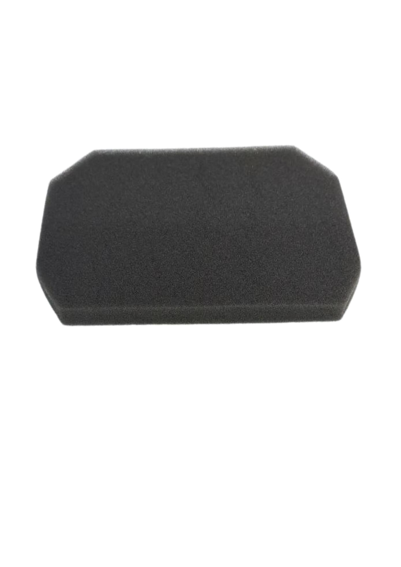 FILTRO DE AIRE EXPRESS 100 - 1