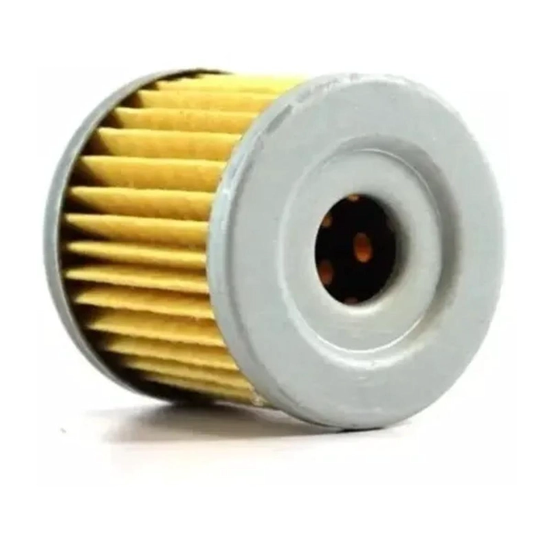 FILTRO AIRE GZ150 HIBARI - 1