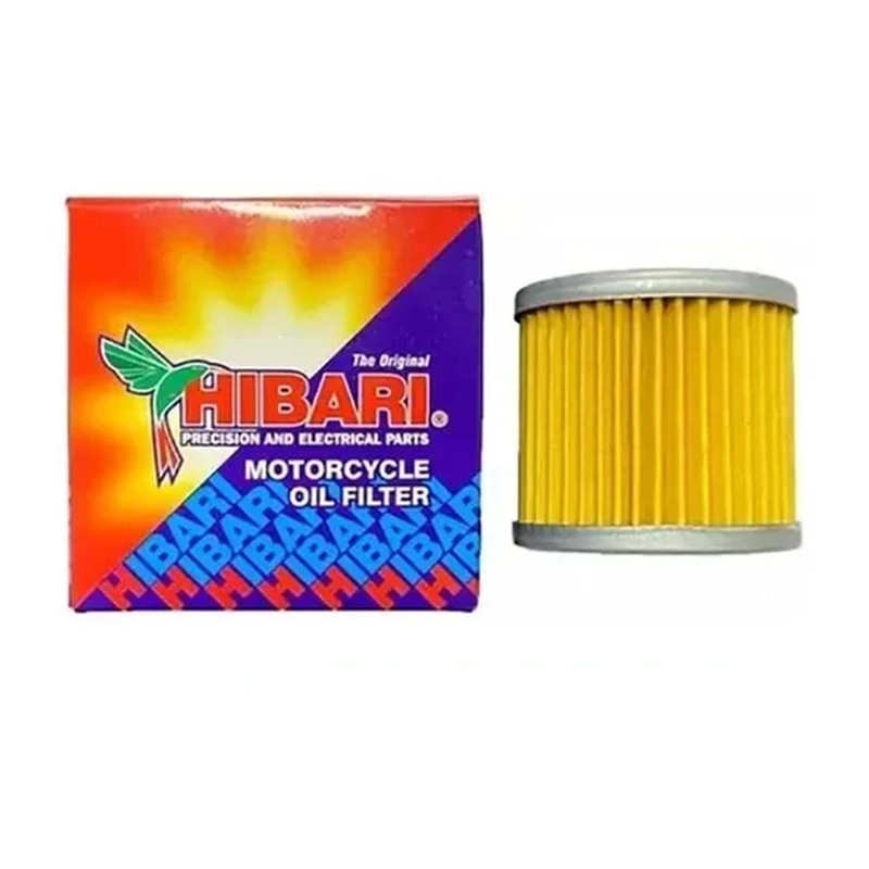FILTRO AIRE GZ150 HIBARI - 2