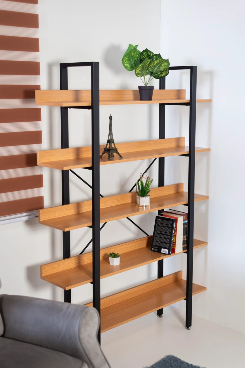 REPISA BIBLIOTECA STELL CATAR. - 5
