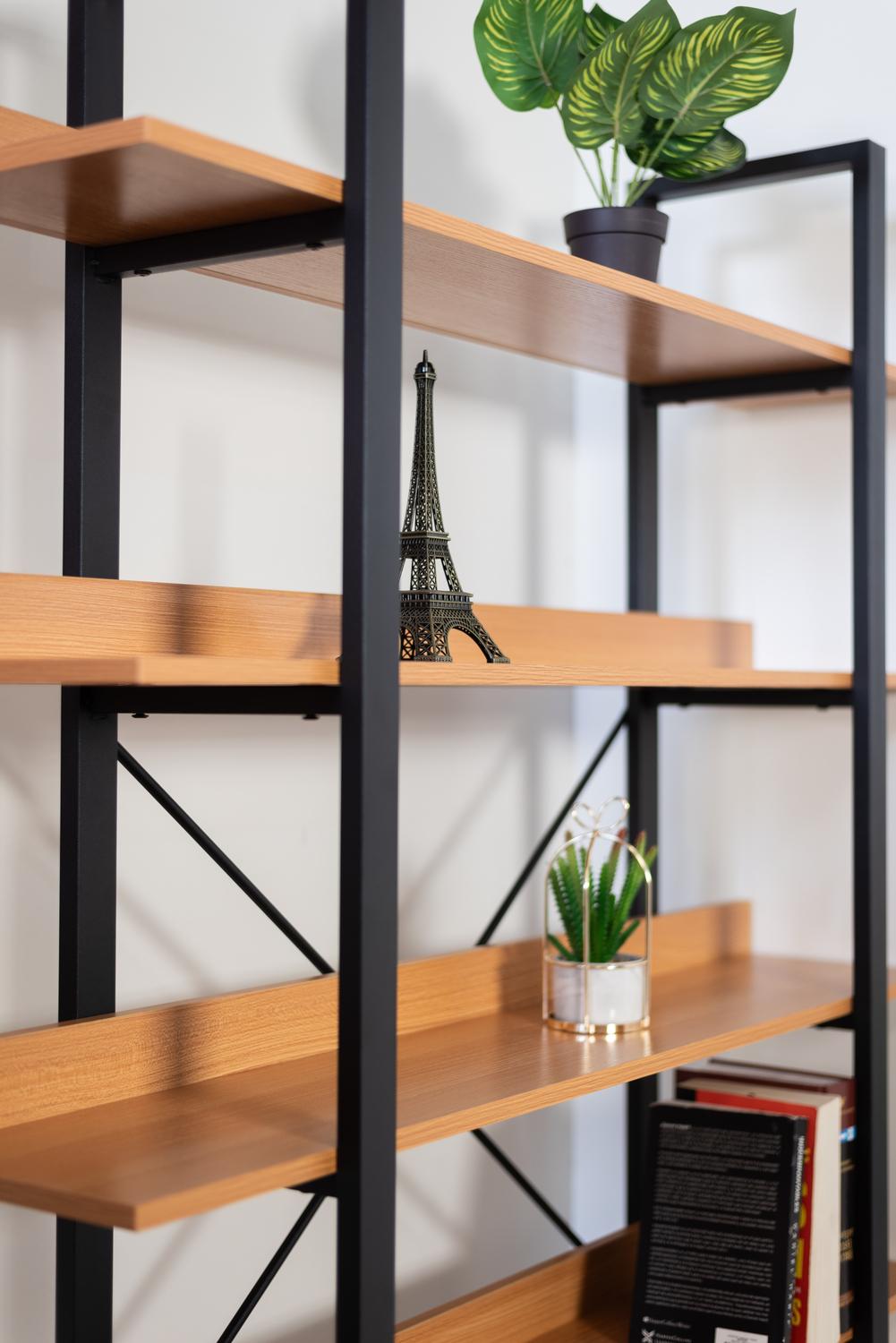 REPISA BIBLIOTECA STELL CATAR. - 7