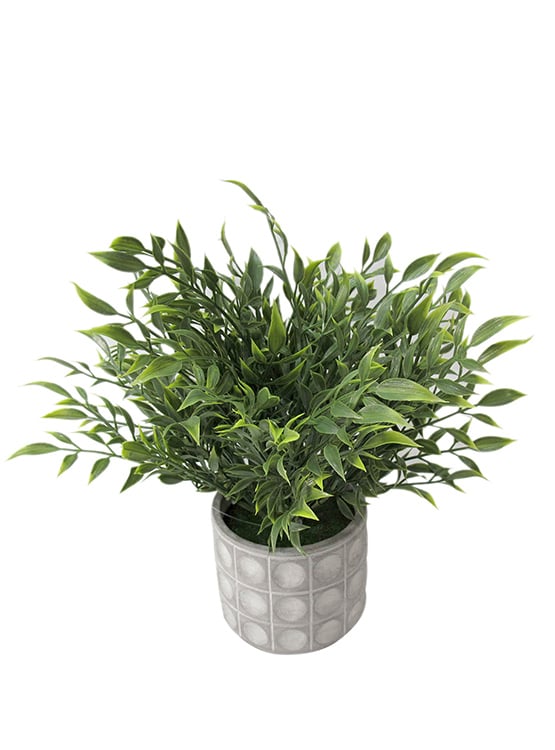 PLANTA DECORATIVA ARTIFICIAL LAURUS
