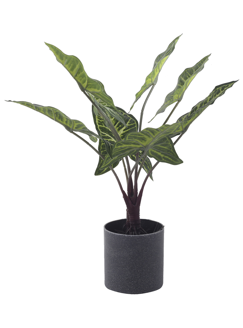 PLANTA DECORATIVA ARTIFICIAL ALOCASIA ZEBRINA - 1